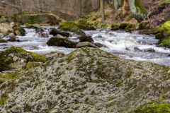 Wanderung im Ilsetal mit dem Fotoclub Quedlinburg