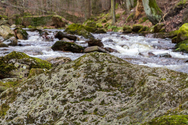 Nationalpark Harz Ilsetal