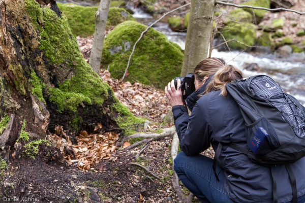 Nationalpark Harz Ilsetal