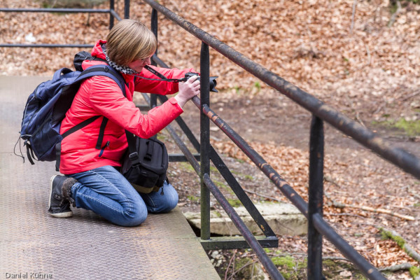 Nationalpark Harz Ilsetal