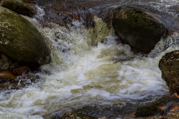 Nationalpark Harz Ilsetal