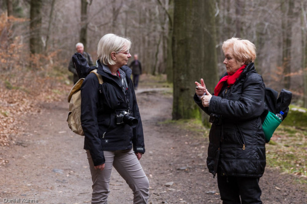 Nationalpark Harz Ilsetal