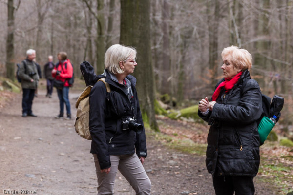 Nationalpark Harz Ilsetal