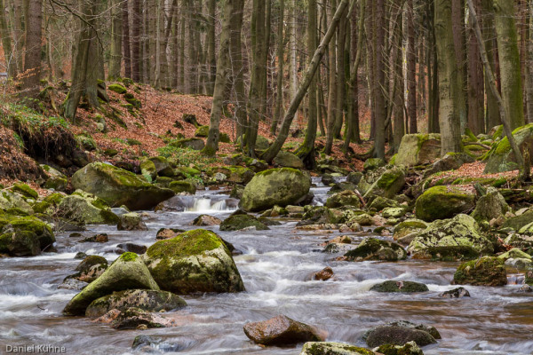 Nationalpark Harz Ilsetal