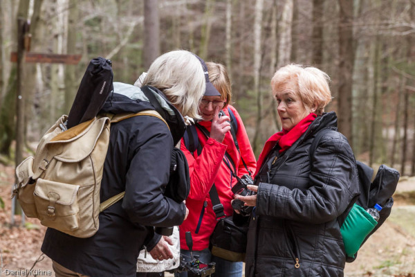 Nationalpark Harz Ilsetal