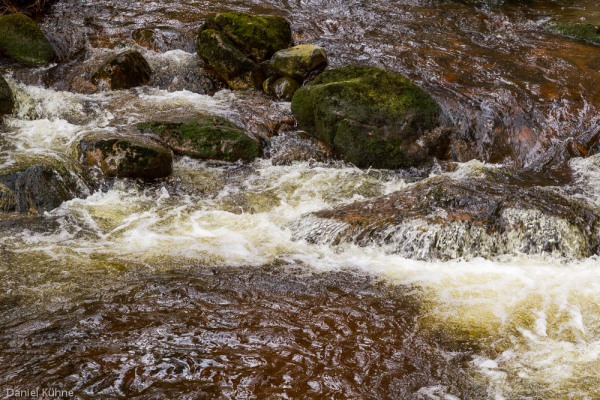 Nationalpark Harz Ilsetal