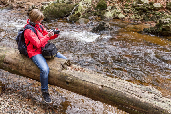 Nationalpark Harz Ilsetal