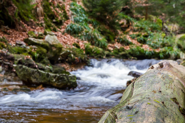 Nationalpark Harz Ilsetal