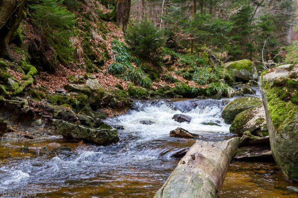 Nationalpark Harz Ilsetal