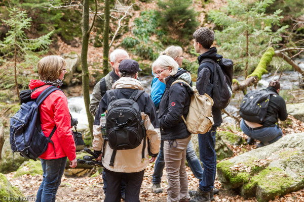 Nationalpark Harz Ilsetal