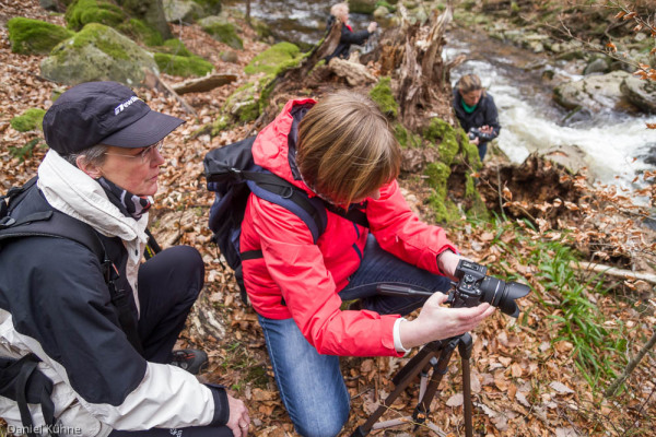 Nationalpark Harz Ilsetal