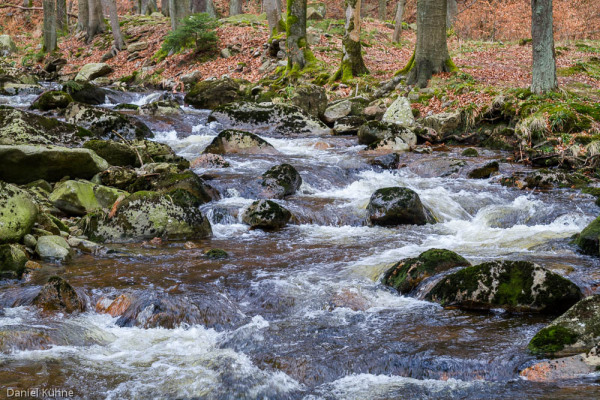 Nationalpark Harz Ilsetal