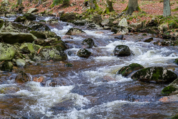 Nationalpark Harz Ilsetal