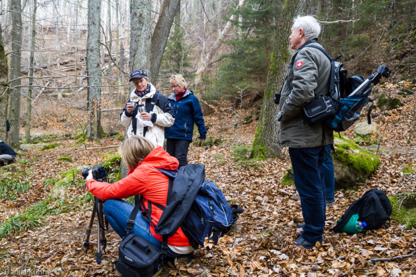 Nationalpark Harz Ilsetal