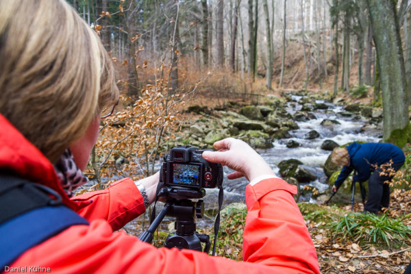 Nationalpark Harz Ilsetal