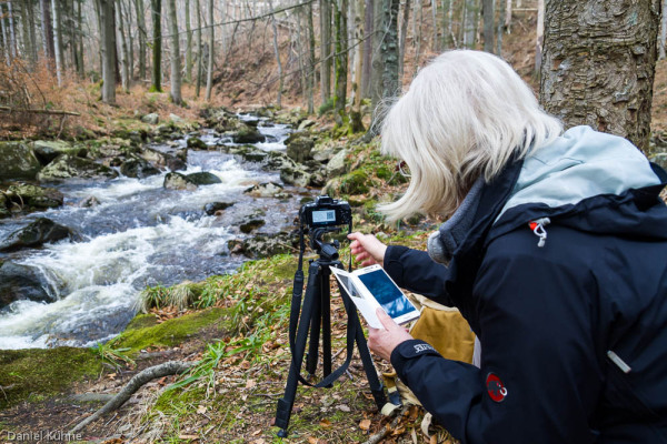 Nationalpark Harz Ilsetal