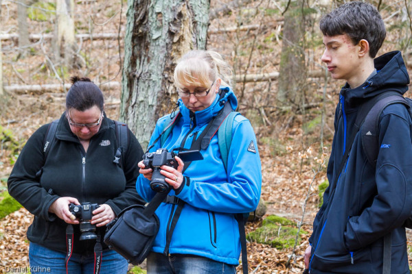 Nationalpark Harz Ilsetal