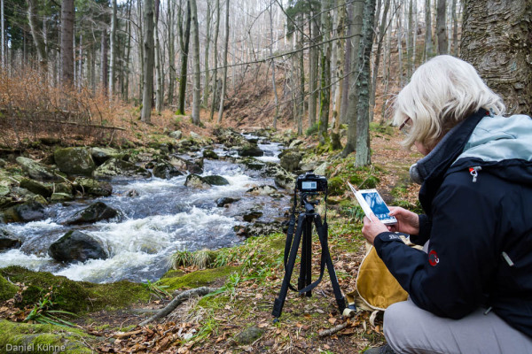 Nationalpark Harz Ilsetal