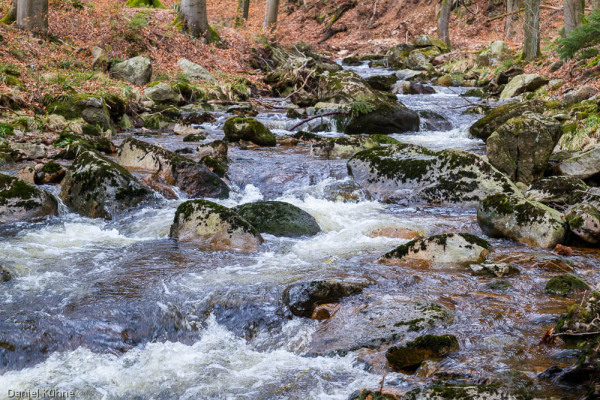 Nationalpark Harz Ilsetal