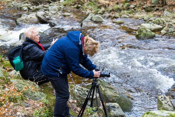 Nationalpark Harz Ilsetal