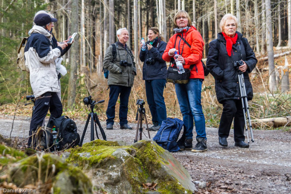 Nationalpark Harz Ilsetal