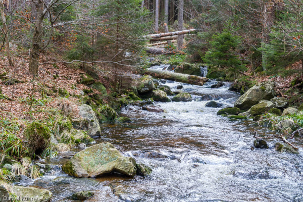 Nationalpark Harz Ilsetal