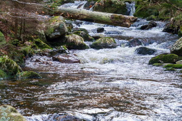 Nationalpark Harz Ilsetal