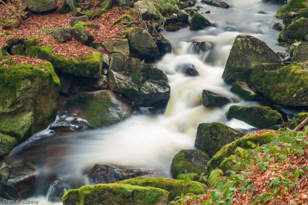 Nationalpark Harz Ilsetal