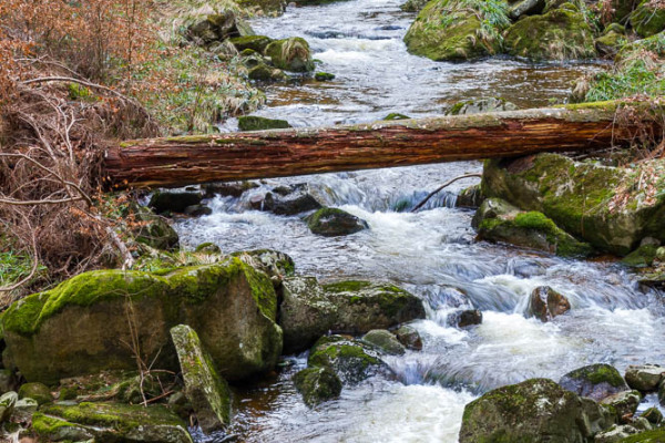 Nationalpark Harz Ilsetal