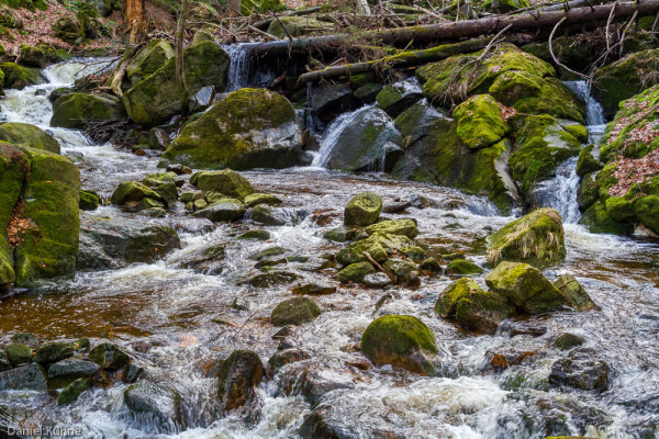 Nationalpark Harz Ilsetal