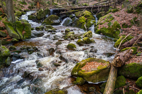 Nationalpark Harz Ilsetal