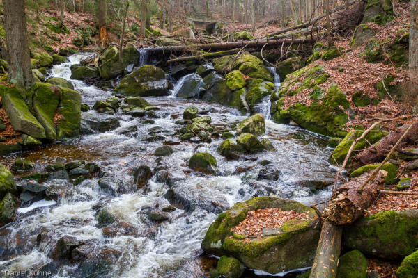 Nationalpark Harz Ilsetal