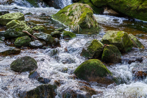 Nationalpark Harz Ilsetal