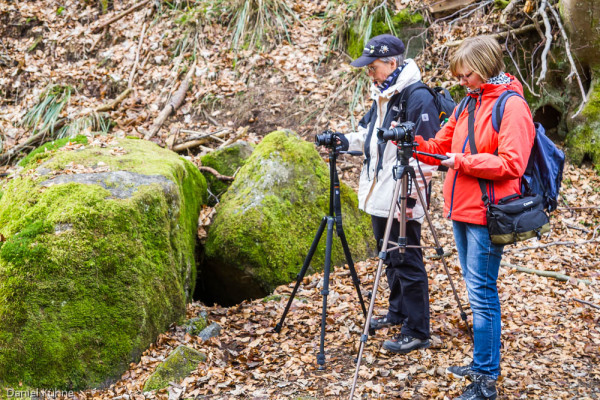 Nationalpark Harz Ilsetal