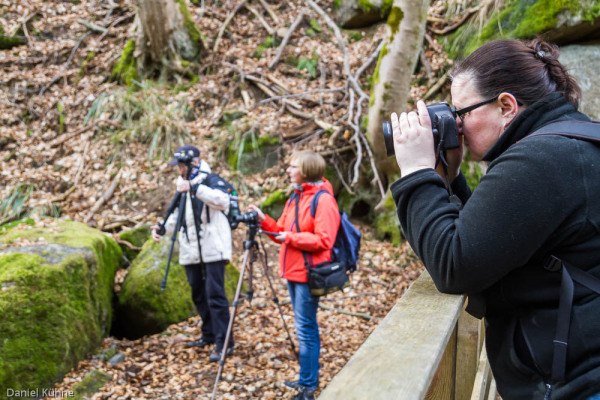 Nationalpark Harz Ilsetal