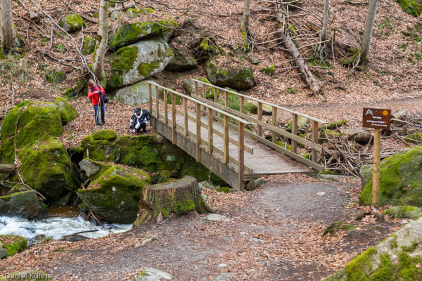 Nationalpark Harz Ilsetal