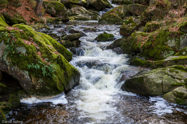 Nationalpark Harz Ilsetal Ilsefall