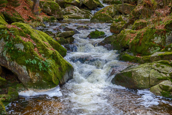 Nationalpark Harz Ilsetal Ilsefall