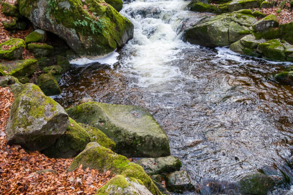 Nationalpark Harz Ilsetal Ilsefall