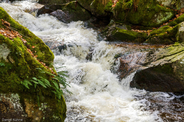 Nationalpark Harz Ilsetal Ilsefall