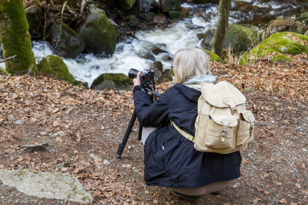 Nationalpark Harz Ilsetal