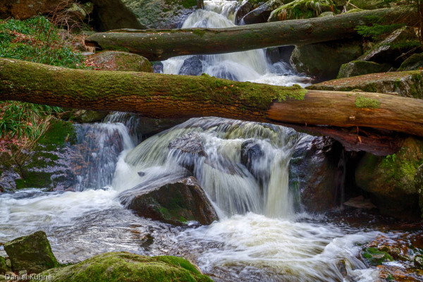 Nationalpark Harz Ilsetal Ilsefall