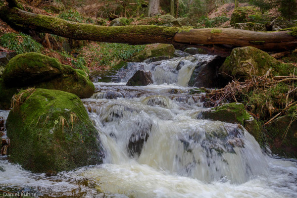 Nationalpark Harz Ilsetal Ilsefall