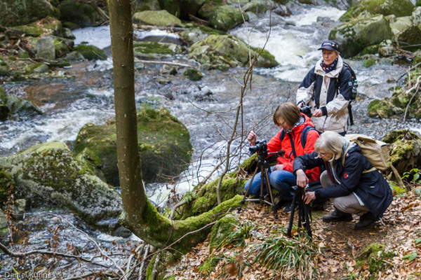 Nationalpark Harz Ilsetal