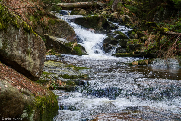 Nationalpark Harz Ilsetal Ilsefall