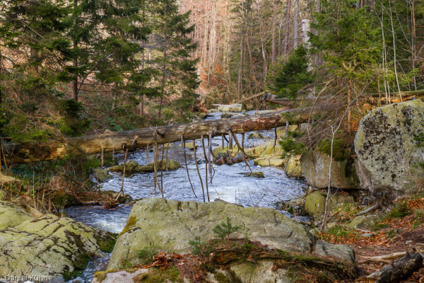 Nationalpark Harz Ilsetal Ilsefall