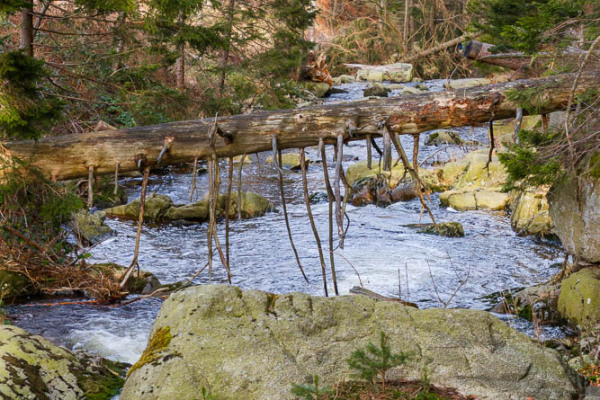 Nationalpark Harz Ilsetal Ilsefall