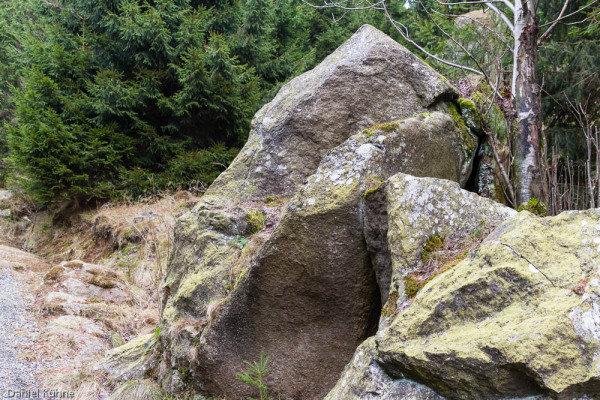 Nationalpark Harz Ilsetal