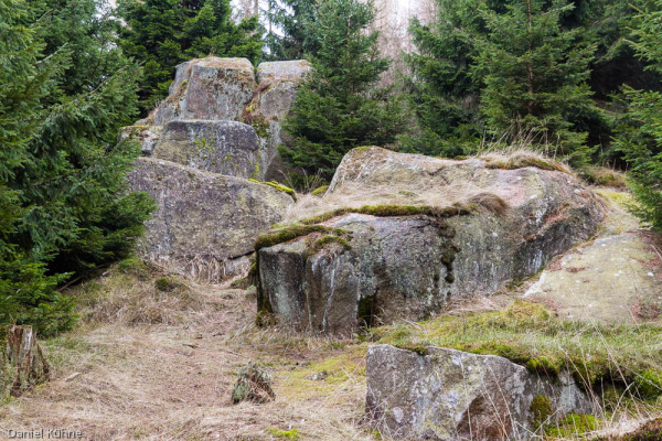 Nationalpark Harz Ilsetal