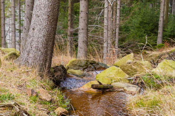 Nationalpark Harz Ilsetal